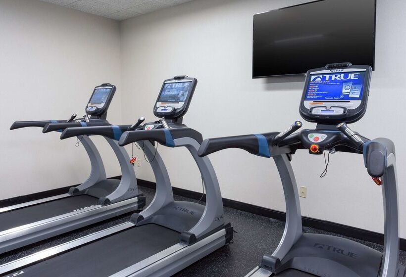 هتل Drury Inn And Suites St Louis Union Station