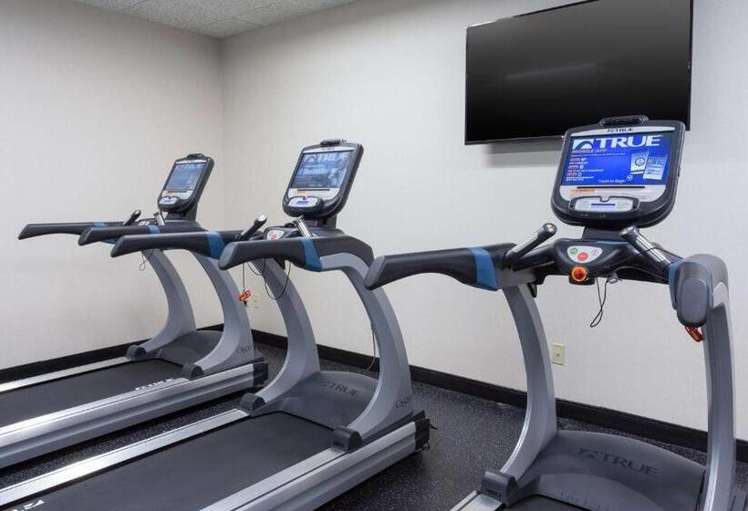 호텔 Drury Inn And Suites St Louis Union Station