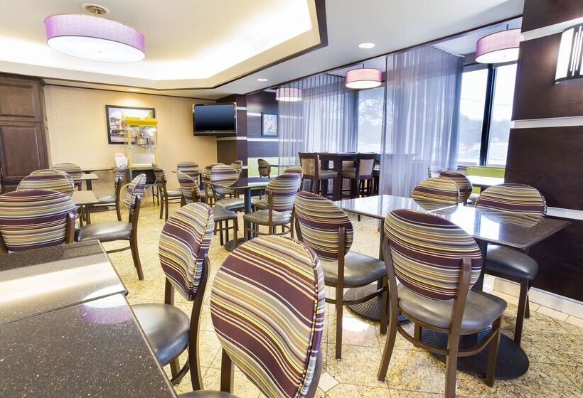 Отель Drury Inn & Suites Atlanta Airport