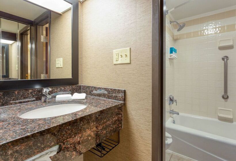Отель Drury Inn & Suites Atlanta Airport