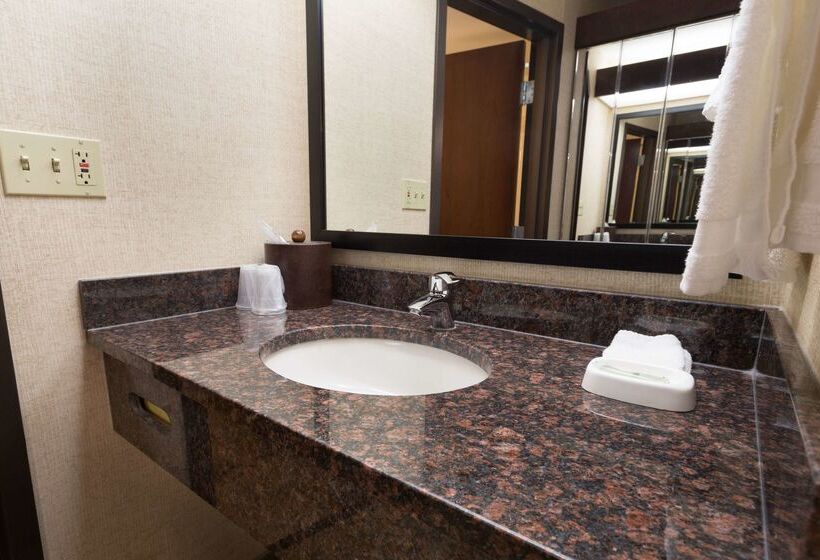 酒店 Drury Inn & Suites Champaign