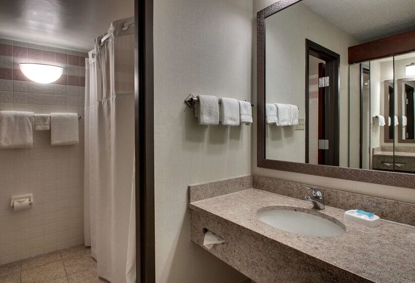 ホテル Drury Inn & Suites Evansville East