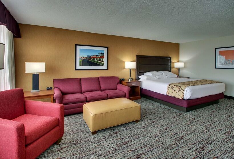 ホテル Drury Inn & Suites Evansville East