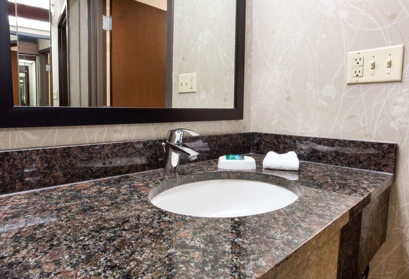 酒店 Drury Inn & Suites Kansas City Airport