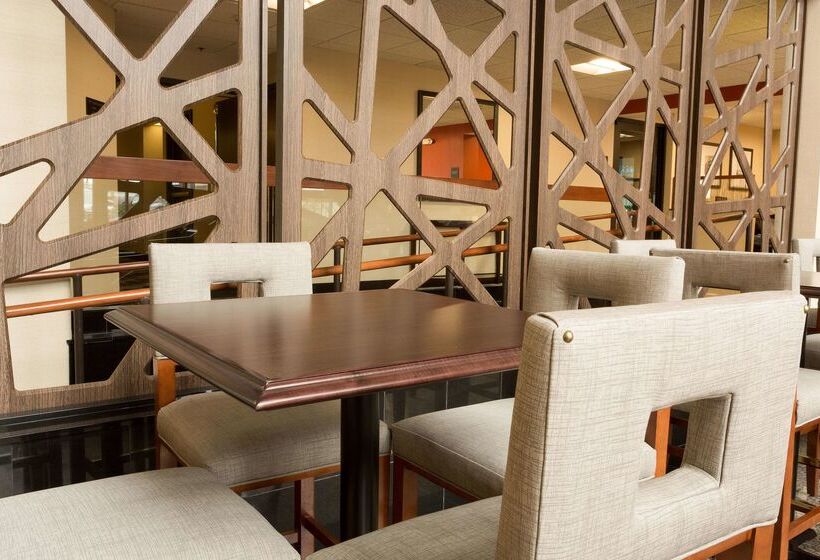 فندق Drury Inn & Suites St. Louis Airport