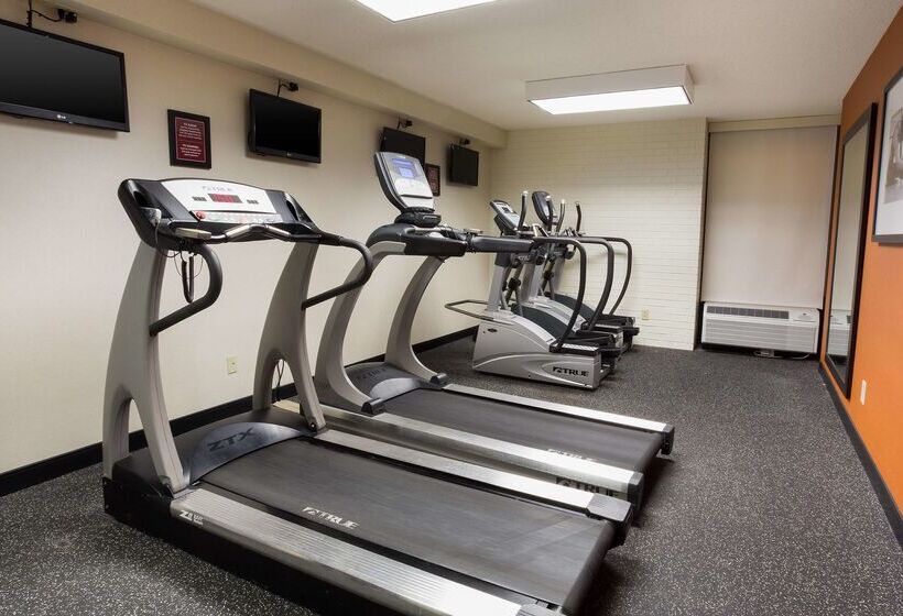 فندق Drury Inn & Suites St. Louis Airport