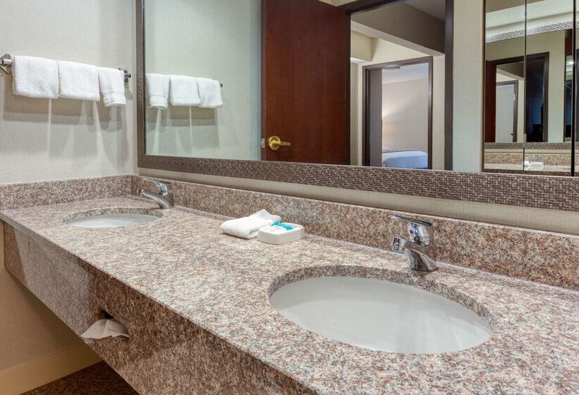 酒店 Heritage Inn & Suites St. Louis/fenton, Trademark By Wyndham