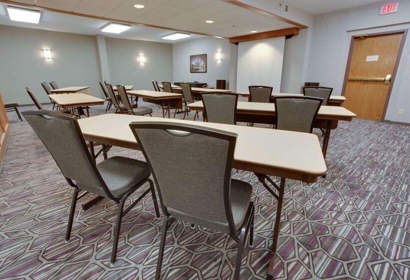 Drury Plaza Hotel San Antonio Airport