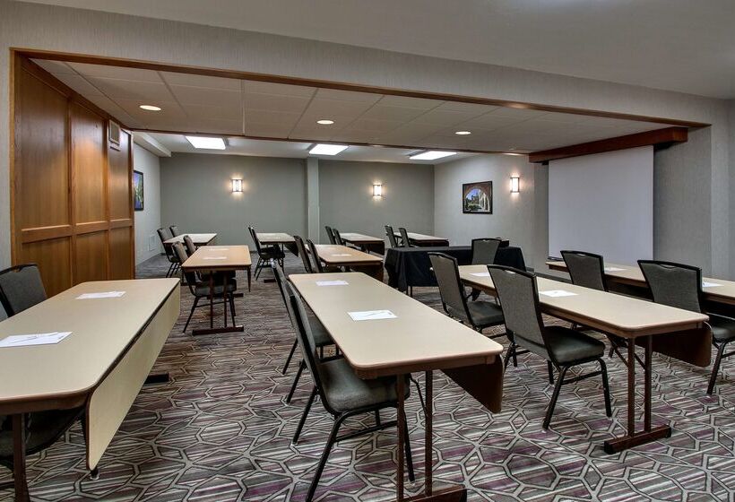 Drury Plaza Hotel San Antonio Airport