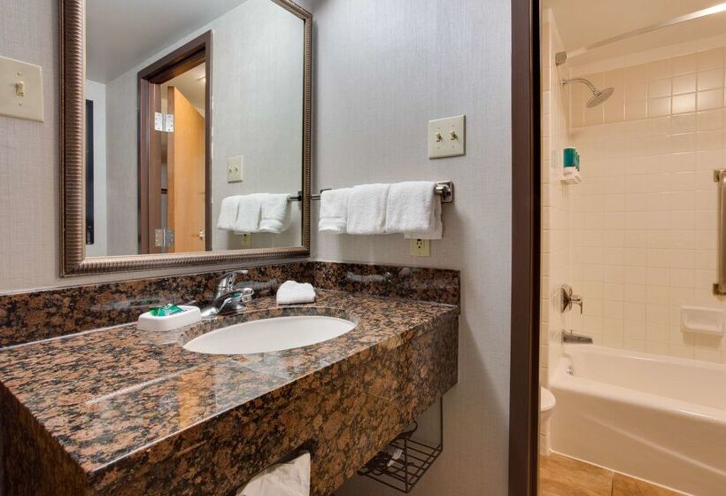 Drury Plaza Hotel San Antonio Airport