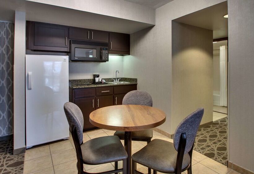 Drury Plaza Hotel San Antonio Airport