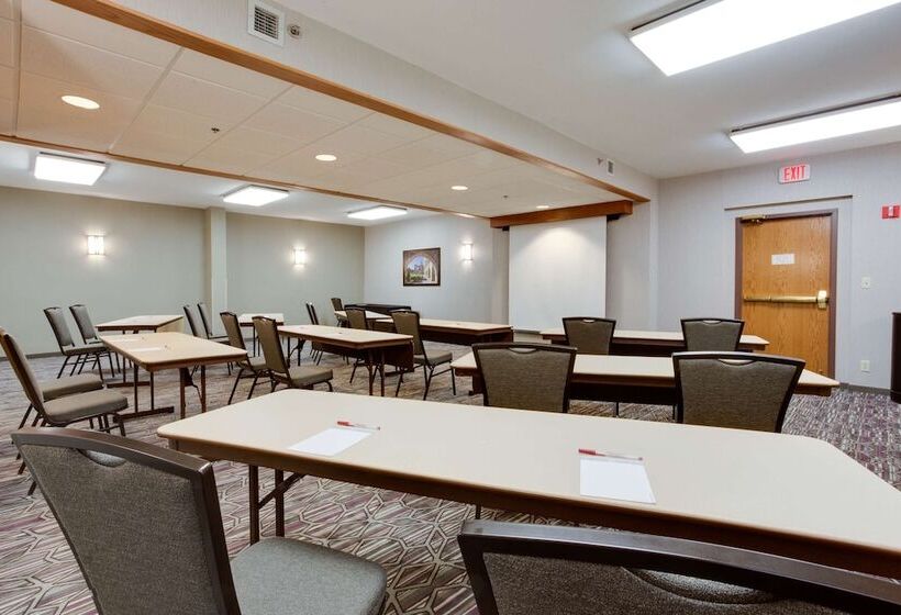 Drury Plaza Hotel San Antonio Airport