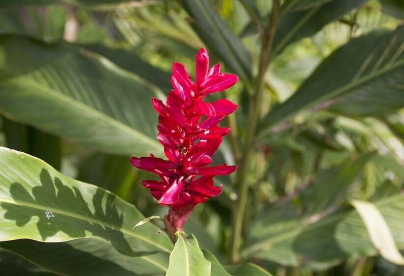 ホテル Duval House