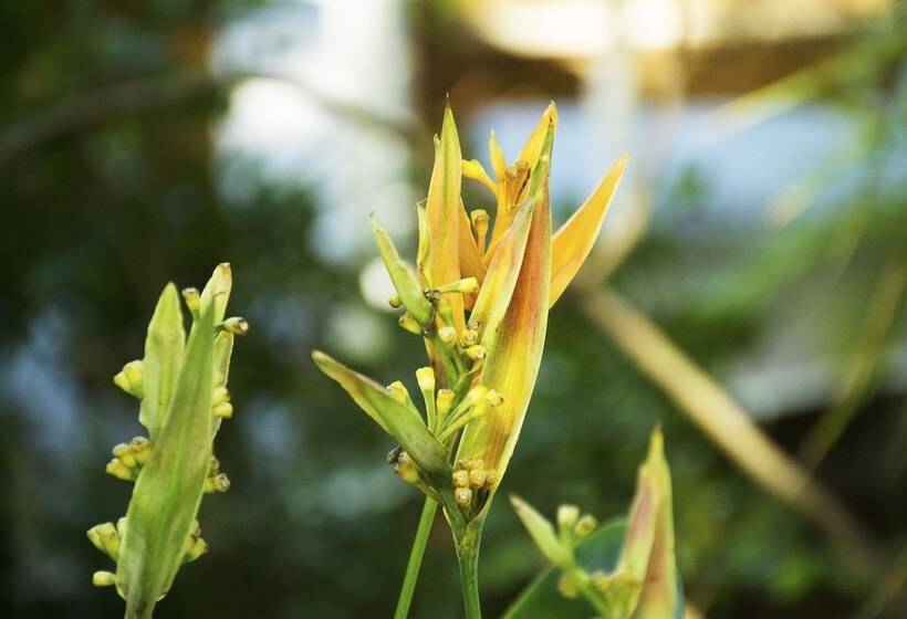 ホテル Duval House