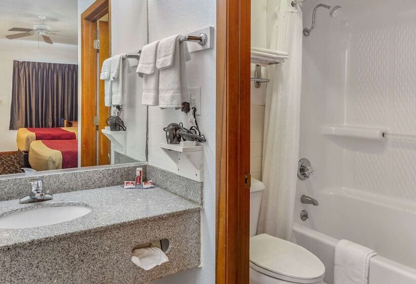 Отель Econo Lodge Inn & Suites
