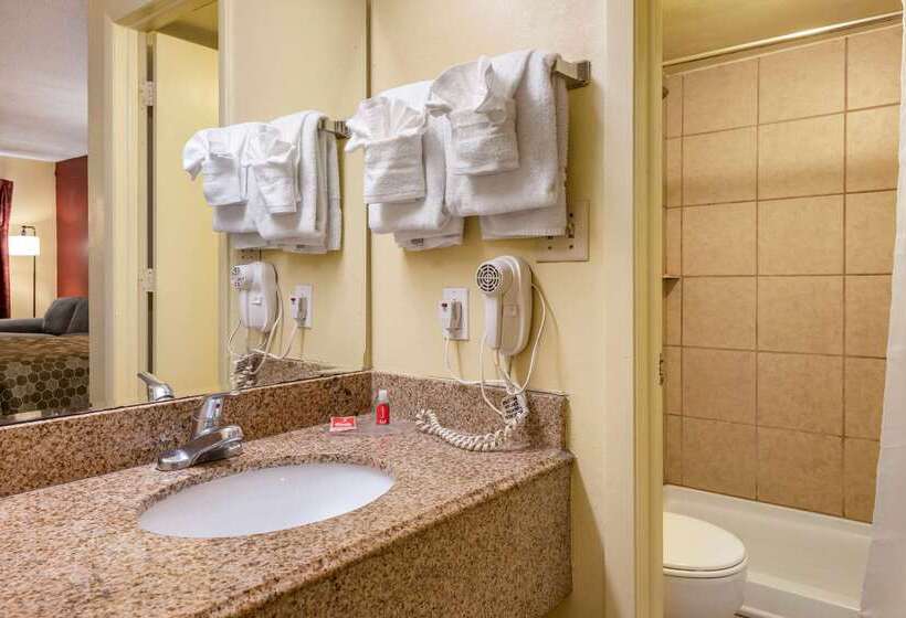 酒店 Econo Lodge Inn & Suites Maingate Central