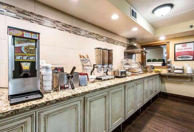 בית מלון כפרי Econo Lodge Mayo Clinic Area