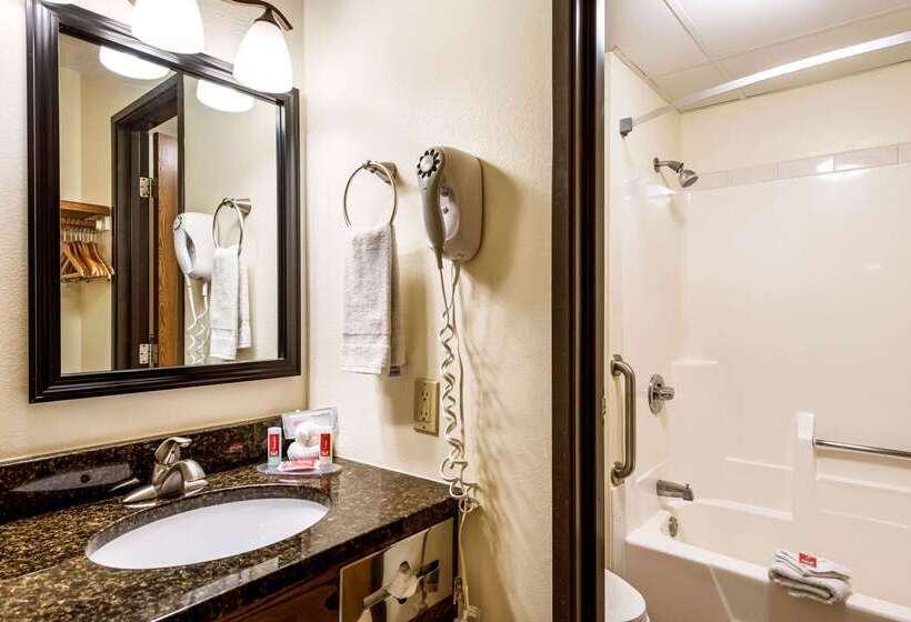 בית מלון כפרי Econo Lodge Mayo Clinic Area