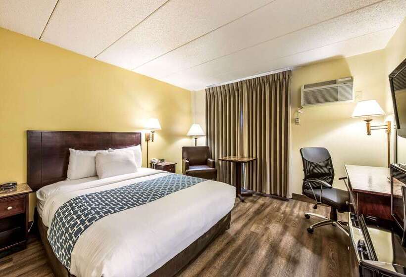 בית מלון כפרי Econo Lodge Mayo Clinic Area