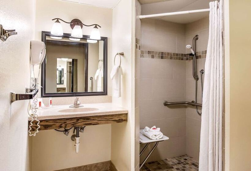 בית מלון כפרי Econo Lodge Mayo Clinic Area