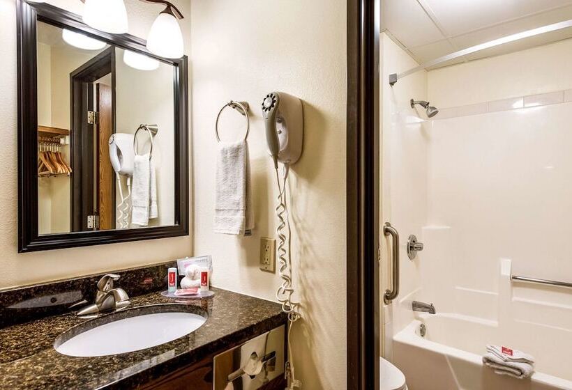 هتل Econo Lodge Mayo Clinic Area