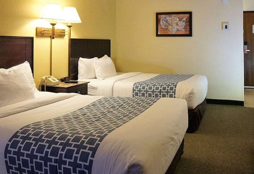 בית מלון כפרי Econo Lodge Mayo Clinic Area