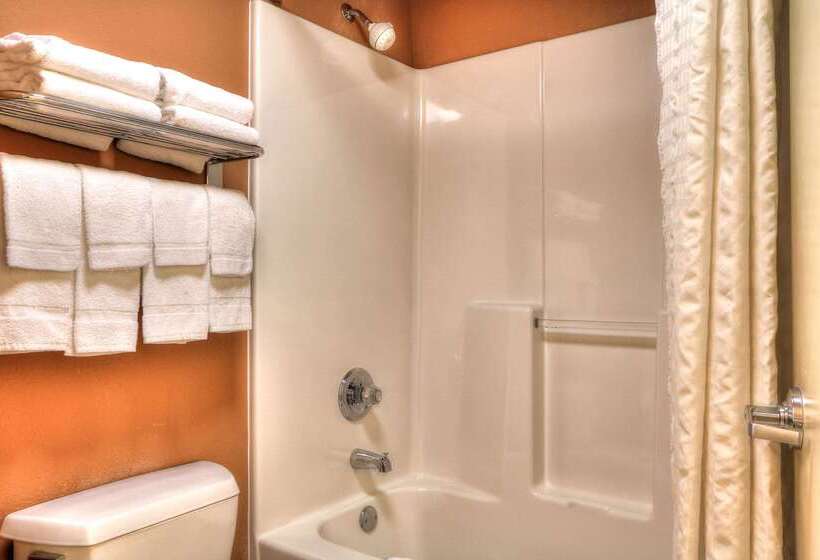 هتل Econo Lodge Pigeon Forge Riverside