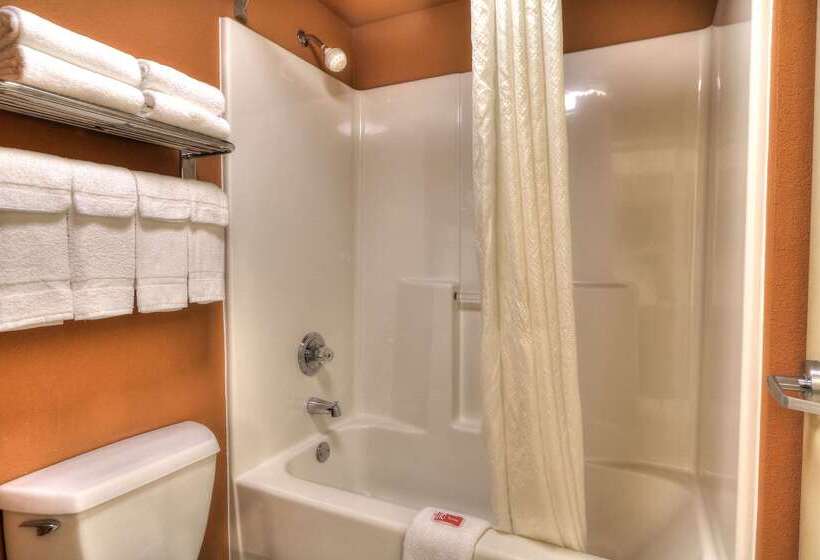 هتل Econo Lodge Pigeon Forge Riverside