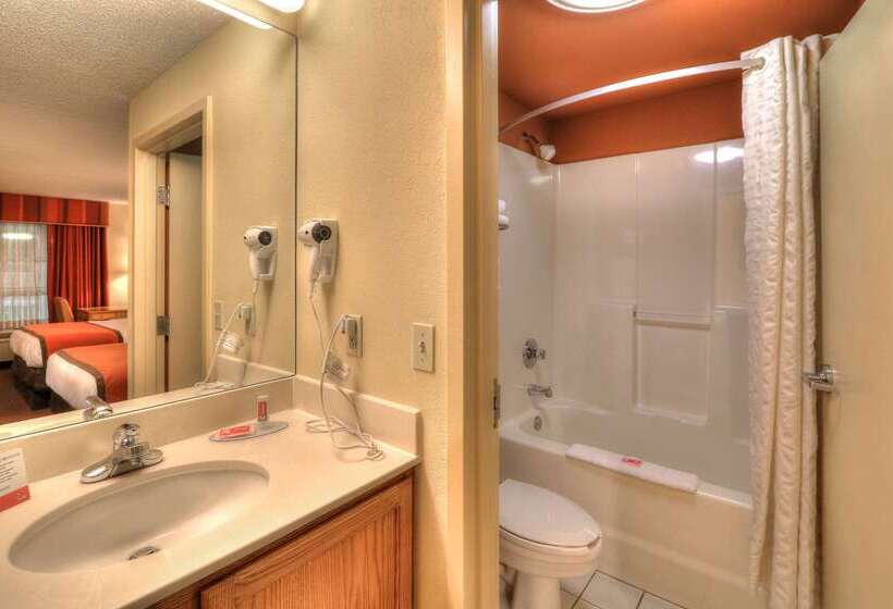 هتل Econo Lodge Pigeon Forge Riverside