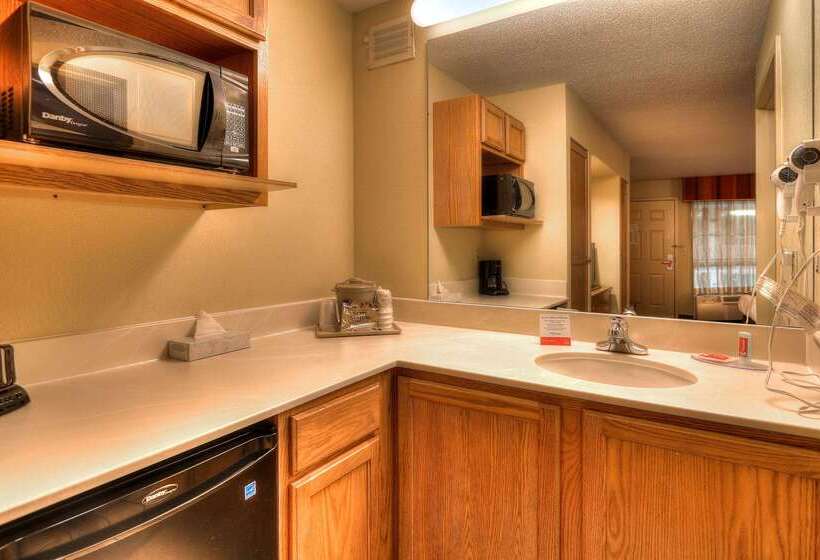 هتل Econo Lodge Pigeon Forge Riverside