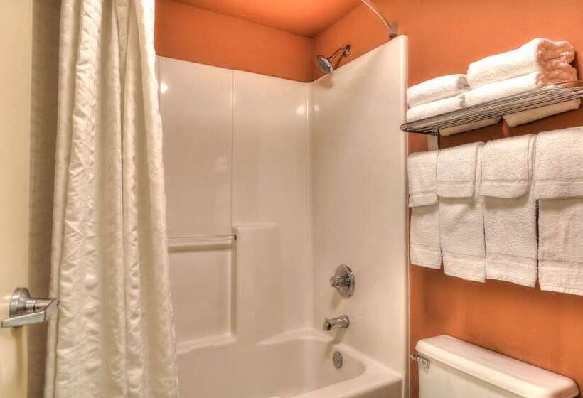 هتل Econo Lodge Pigeon Forge Riverside