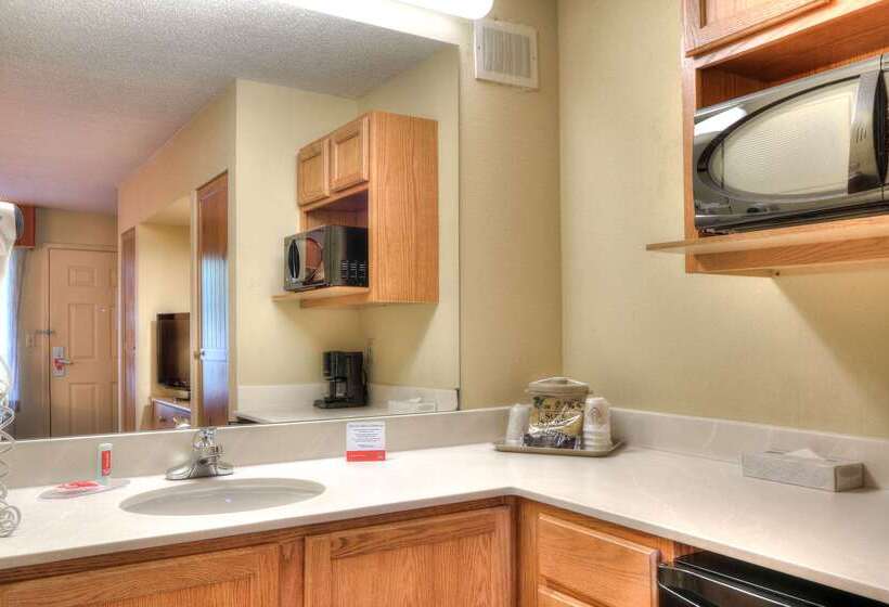 هتل Econo Lodge Pigeon Forge Riverside