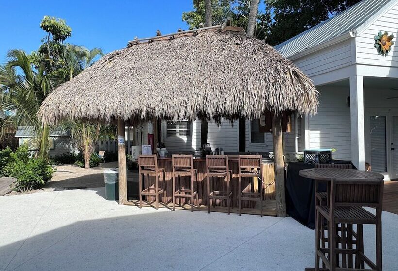 Отель Eden House