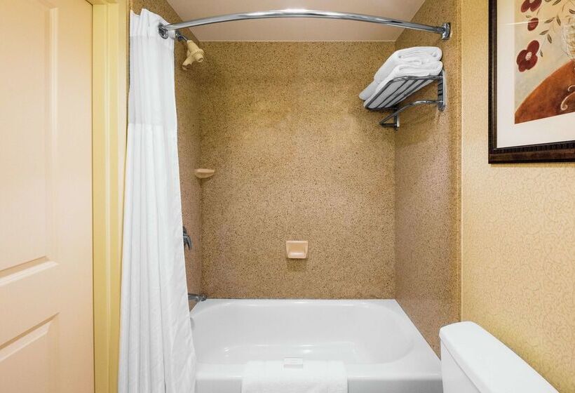 فندق Hilton Garden Inn Meridian