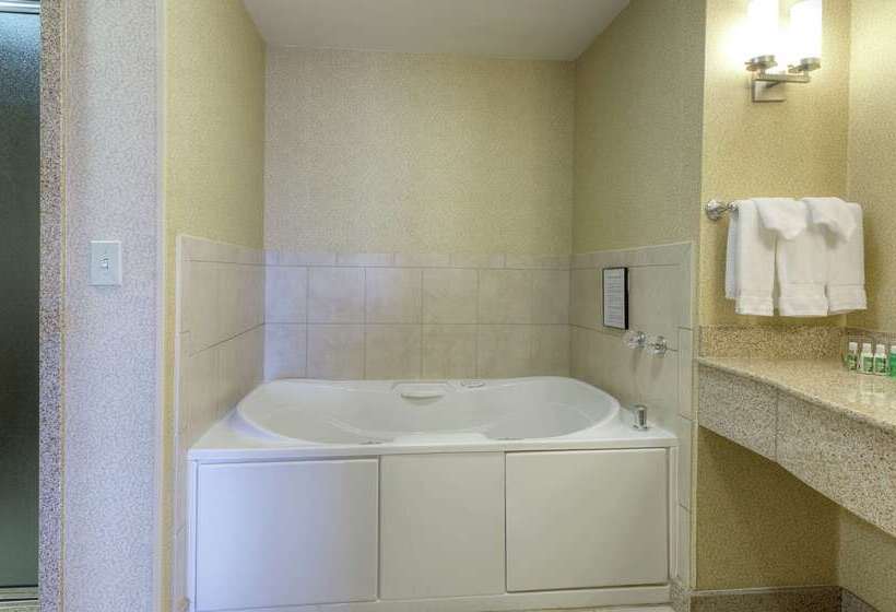 هتل Hilton Garden Inn Meridian