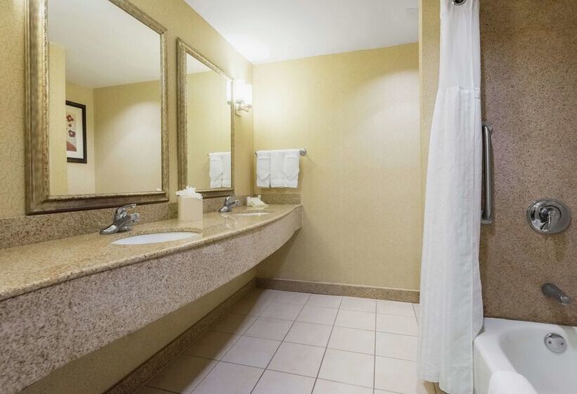 هتل Hilton Garden Inn Meridian