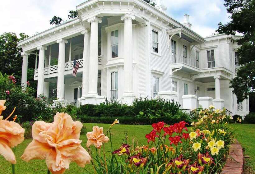 هتل Hilton Garden Inn Meridian