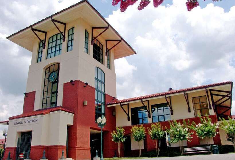 هتل Hilton Garden Inn Meridian