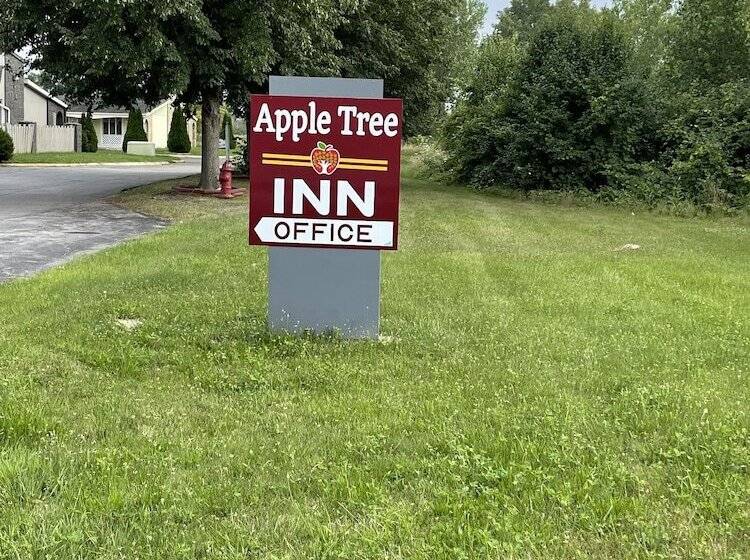 فندق Rodeway Inn & Suites