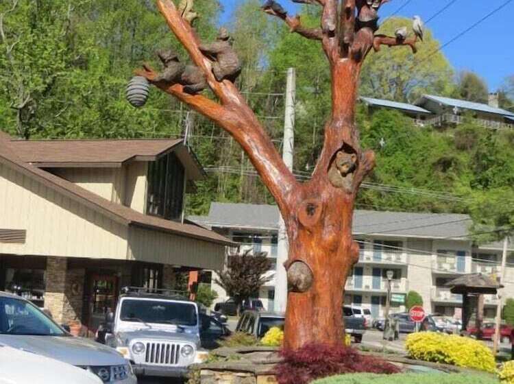 בית מלון כפרי Mountain House Inn