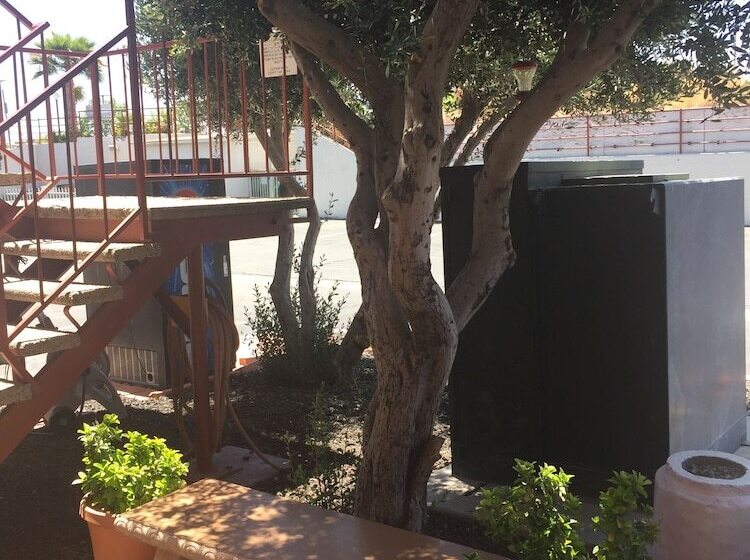 فندق Park Avenue Inn & Suites