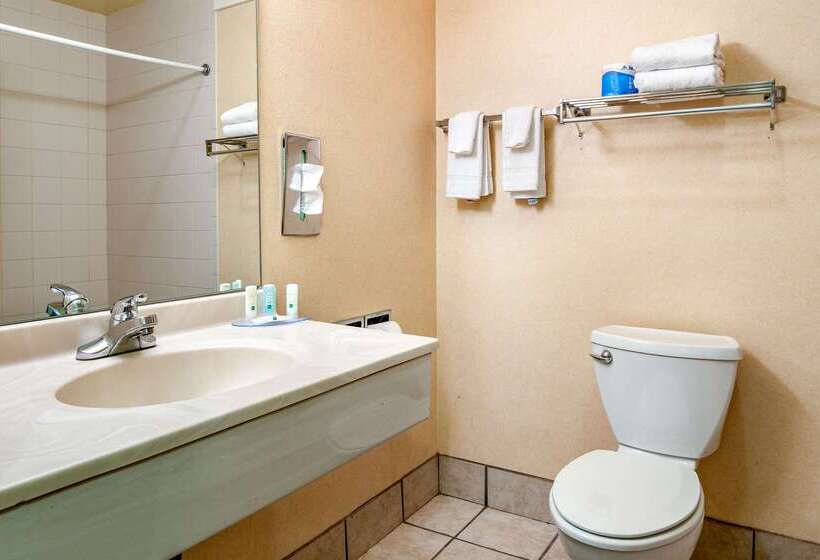 فندق Quality Inn