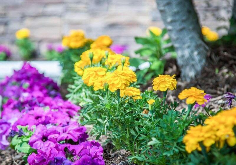 فندق Quality Inn & Suites Anaheim Maingate