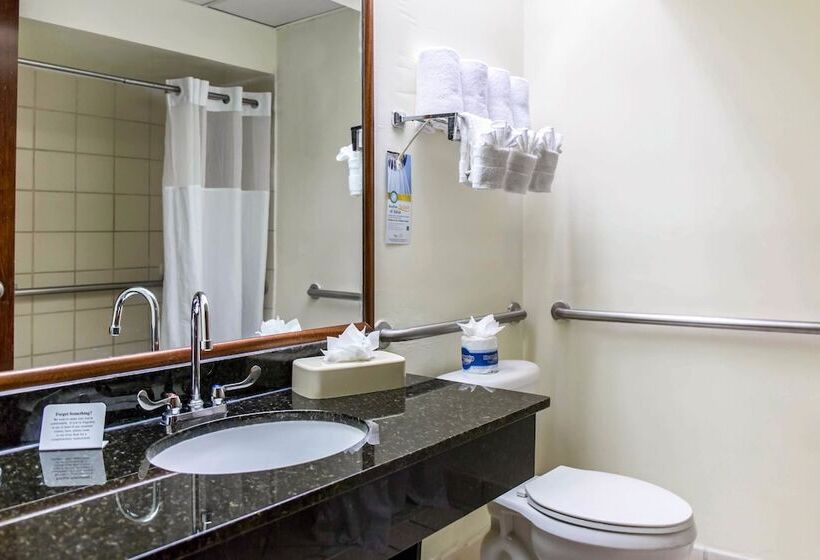 هتل Quality Inn & Suites Hot Springslake Hamilton