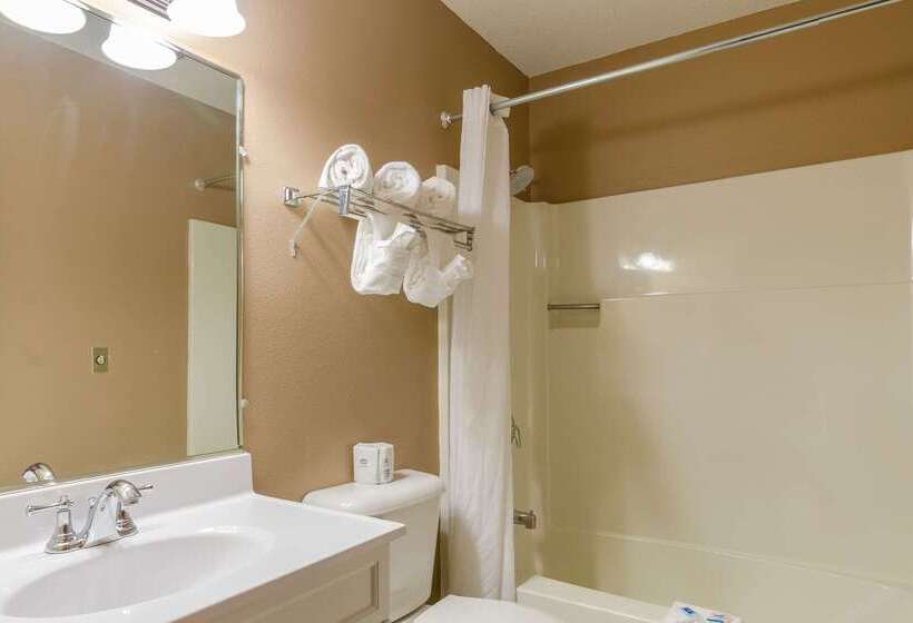 Отель Rodeway Inn Mitchell