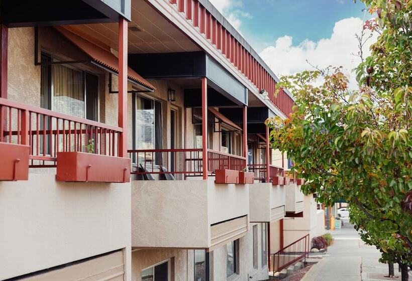 酒店 The Durango Lodge