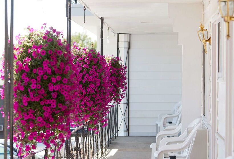 汽车旅馆  Baymont By Wyndham Lake George