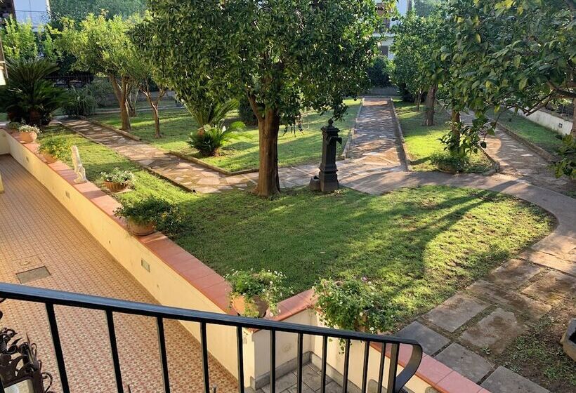 B&b Massico Apartments