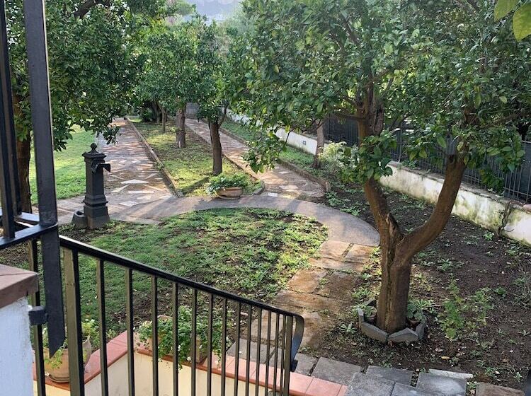 B&b Massico Apartments