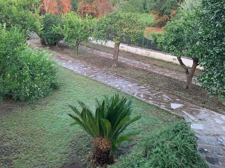 B&b Massico Apartments